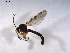  ( - 07PROBE-JW0240)  @13 [ ] CreativeCommons - Attribution (2010) Unspecified Centre for Biodiversity Genomics