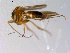  ( - 10PROBE-11159)  @12 [ ] CreativeCommons - Attribution (2011) CBG Photography Group Centre for Biodiversity Genomics