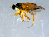  ( - 10PROBE-07895)  @13 [ ] CreativeCommons - Attribution (2011) CBG Photography Group Centre for Biodiversity Genomics