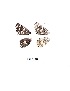  ( - KBGPB77)  @11 [ ] CreativeCommons - Attribution Non-Commercial Share-Alike (2017) Unspecified he Lepidopterists Society of Africa