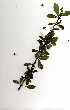  ( - RBN320)  @11 [ ] Copyright  - Unspecified