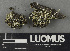  (Cladonia decorticata - H9243145)  @11 [ ] by-nc (2024) Erkka Laine Luomus