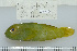  (Paragobiodon xanthosomus - UG0715)  @14 [ ] CreativeCommons - Attribution (2009) Unspecified Centre for Biodiversity Genomics