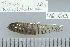  (Eviota queenslandica - UG0803)  @13 [ ] CreativeCommons - Attribution (2009) Unspecified Centre for Biodiversity Genomics
