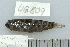  (Asterropteryx semipunctata - UG0809)  @13 [ ] CreativeCommons - Attribution (2009) Unspecified Centre for Biodiversity Genomics