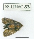  ( - AS-LIMAC 33)  @11 [ ] Copyright (2010) Unspecified Research Collection of Alexey V. Solovyev