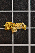  (Xanthoria parietina - LL3)  @11 [ ] CreativeCommons - Attribution Non-Commercial Share-Alike (2011) Louise Lindblom University of Bergen