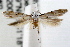  ( - RBMIS-0579)  @11 [ ] CreativeCommons - Attribution (2009) Unspecified Centre for Biodiversity Genomics