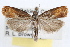  ( - RBMIS-1367)  @11 [ ] CreativeCommons - Attribution (2010) Unspecified Centre for Biodiversity Genomics