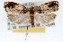  ( - RBMIS-1431)  @11 [ ] CreativeCommons - Attribution (2010) Unspecified Centre for Biodiversity Genomics