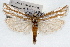  ( - RBMIS-1518)  @14 [ ] CreativeCommons - Attribution (2010) Unspecified Centre for Biodiversity Genomics