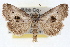  ( - RBMIS-1526)  @11 [ ] CreativeCommons - Attribution (2009) Unspecified Centre for Biodiversity Genomics