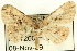  (Psilalcis ocellata - CCDB-19584-E08)  @14 [ ] CreativeCommons - Attribution (2012) CBG Photography Group Centre for Biodiversity Genomics