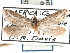  (Prototheora quadricornis - CCDB-22946-H06)  @11 [ ] CreativeCommons - Attribution (2014) CBG Photography Group Centre for Biodiversity Genomics