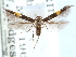  ( - CCDB-29490-A12)  @11 [ ] CreativeCommons - Attribution (2017) CBG Photography Group Centre for Biodiversity Genomics