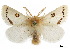 ( - CCDB-30822-A02)  @11 [ ] CreativeCommons - Attribution (2018) CBG Photography Group Centre for Biodiversity Genomics