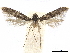  ( - CCDB-32973-B11)  @11 [ ] CreativeCommons - Attribution (2019) CBG Photography Group Centre for Biodiversity Genomics