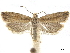  ( - CCDB-32975-H03)  @14 [ ] CreativeCommons - Attribution (2019) CBG Photography Group Centre for Biodiversity Genomics