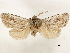  ( - CCDB-33589-C05)  @11 [ ] CreativeCommons - Attribution (2019) CBG Photography Group Centre for Biodiversity Genomics