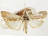  ( - CCDB-33977-H08)  @11 [ ] CreativeCommons - Attribution (2019) CBG Photography Group Centre for Biodiversity Genomics