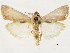  ( - CCDB-33977-H09)  @11 [ ] CreativeCommons - Attribution (2019) CBG Photography Group Centre for Biodiversity Genomics