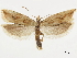  ( - CCDB-34785-H07)  @14 [ ] CreativeCommons - Attribution (2019) CBG Photography Group Centre for Biodiversity Genomics