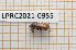  (Acanthobodilus immundus - LPRC2021-0955)  @11 [ ] By-SA Creative Common (2021) Rodolphe Rougerie Museum national d'Histoire naturelle, Paris