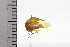  ( - JLPZ0678)  @11 [ ] CreativeCommons  Attribution Non-Commercial Share-Alike (2022) Jeremie Lapeze Institut National de la Recherche Agronomique, Zoologie Forestiere