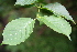  ( - BioBot00278)  @11 [ ] CreativeCommons - Attribution Non-Commercial Share-Alike (2010) Daniel H. Janzen Guanacaste Dry Forest Conservation Fund