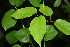  ( - BioBot00317)  @11 [ ] Copyright (2010) Unspecified Unspecified