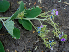  ( - BioBot00698)  @11 [ ] CreativeCommons - Attribution Non-Commercial Share-Alike (2010) Daniel H. Janzen Guanacaste Dry Forest Conservation Fund