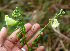  ( - BioBot01424)  @11 [ ] CreativeCommons - Attribution Non-Commercial Share-Alike (2010) Daniel H. Janzen Guanacaste Dry Forest Conservation Fund