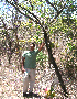  ( - BioBot01728)  @11 [ ] CreativeCommons - Attribution Non-Commercial Share-Alike (2010) Daniel H. Janzen Guanacaste Dry Forest Conservation Fund