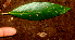  ( - BioBot01836)  @11 [ ] CreativeCommons - Attribution Non-Commercial Share-Alike (2010) Daniel H. Janzen Guanacaste Dry Forest Conservation Fund