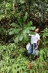 ( - BioBot05124)  @11 [ ] CreativeCommons - Attribution Non-Commercial Share-Alike (2010) Daniel H. Janzen Guanacaste Dry Forest Conservation Fund