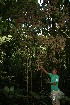  ( - BioBot05148)  @11 [ ] CreativeCommons - Attribution Non-Commercial Share-Alike (2010) Daniel H. Janzen Guanacaste Dry Forest Conservation Fund