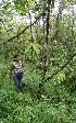  ( - BioBot05219)  @11 [ ] CreativeCommons - Attribution Non-Commercial Share-Alike (2010) Daniel H. Janzen Guanacaste Dry Forest Conservation Fund