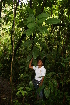  ( - BioBot05221)  @11 [ ] CreativeCommons - Attribution Non-Commercial Share-Alike (2010) Daniel H. Janzen Guanacaste Dry Forest Conservation Fund