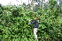  ( - BioBot05373)  @11 [ ] CreativeCommons - Attribution Non-Commercial Share-Alike (2010) Daniel H. Janzen Guanacaste Dry Forest Conservation Fund