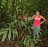  ( - BioBot05545)  @11 [ ] CreativeCommons - Attribution Non-Commercial Share-Alike (2010) Daniel H. Janzen Guanacaste Dry Forest Conservation Fund