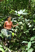  ( - BioBot05555)  @11 [ ] CreativeCommons - Attribution Non-Commercial Share-Alike (2010) Daniel H. Janzen Guanacaste Dry Forest Conservation Fund