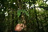  ( - BioBot06062)  @11 [ ] CreativeCommons - Attribution Non-Commercial Share-Alike (2010) Daniel H. Janzen Guanacaste Dry Forest Conservation Fund