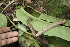  ( - BioBot10149)  @11 [ ] CreativeCommons - Attribution Non-Commercial Share-Alike (2011) Daniel H. Janzen Guanacaste Dry Forest Conservation Fund