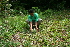  ( - BioBot10232)  @11 [ ] CreativeCommons - Attribution Non-Commercial Share-Alike (2011) Daniel H. Janzen Guanacaste Dry Forest Conservation Fund