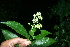  ( - BioBot10239)  @11 [ ] CreativeCommons - Attribution Non-Commercial Share-Alike (2011) Daniel H. Janzen Guanacaste Dry Forest Conservation Fund