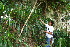  ( - BioBot10567)  @11 [ ] CreativeCommons - Attribution Non-Commercial Share-Alike (2011) Daniel H. Janzen Guanacaste Dry Forest Conservation Fund