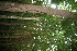  ( - BioBot10797)  @11 [ ] CreativeCommons - Attribution Non-Commercial Share-Alike (2010) Daniel H. Janzen Guanacaste Dry Forest Conservation Fund