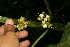  ( - BioBot11252)  @11 [ ] CreativeCommons - Attribution Non-Commercial Share-Alike (2010) Daniel H. Janzen Guanacaste Dry Forest Conservation Fund