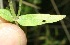  ( - BioBot11610)  @11 [ ] CreativeCommons - Attribution Non-Commercial Share-Alike (2010) Daniel H. Janzen Guanacaste Dry Forest Conservation Fund