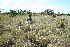  ( - BioBot11733)  @11 [ ] CreativeCommons - Attribution Non-Commercial Share-Alike (2010) Daniel H. Janzen Guanacaste Dry Forest Conservation Fund